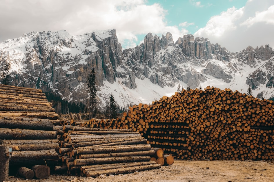 Fire Mitigation Strategies for Your Property